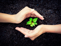 sostenibilidad-seguros-sura